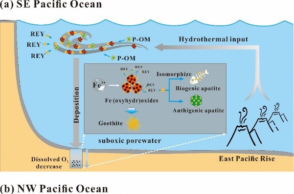 广州海洋局发现铁生物地球化学循环在深海稀土富集中的关键作用