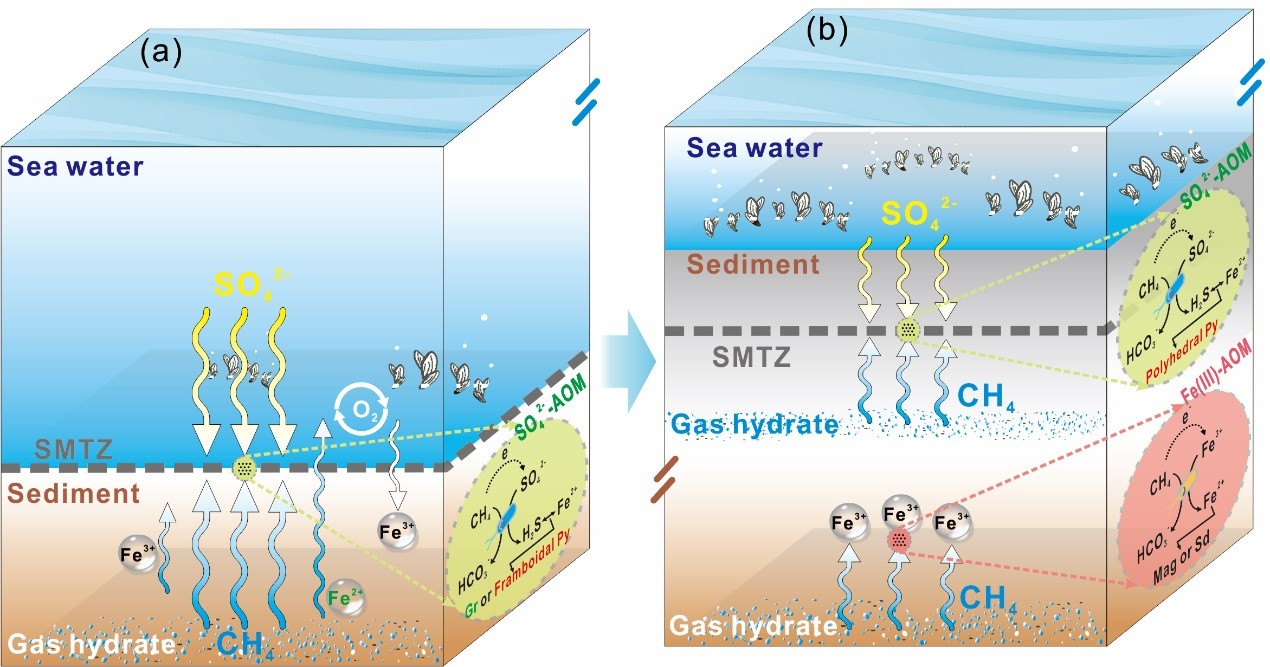 广州海洋局研究发现含铁矿物可作为古甲烷渗漏演化的潜在指标